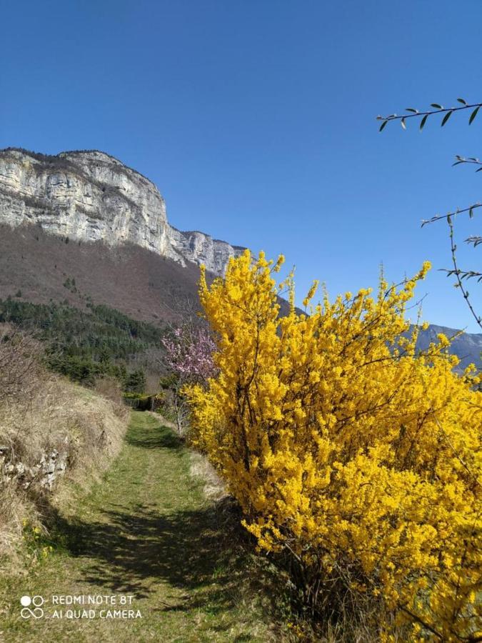 Studio Au Pied De La Montagne Et Vue Imprenable Saint-Alban  外观 照片