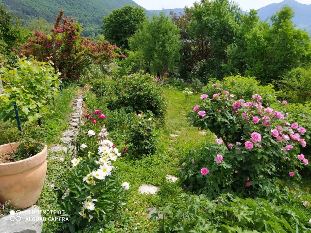 Studio Au Pied De La Montagne Et Vue Imprenable Saint-Alban  外观 照片