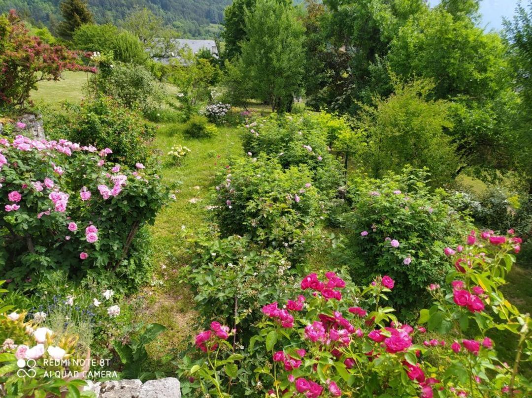 Studio Au Pied De La Montagne Et Vue Imprenable Saint-Alban  外观 照片