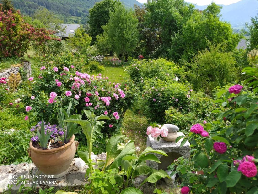 Studio Au Pied De La Montagne Et Vue Imprenable Saint-Alban  外观 照片